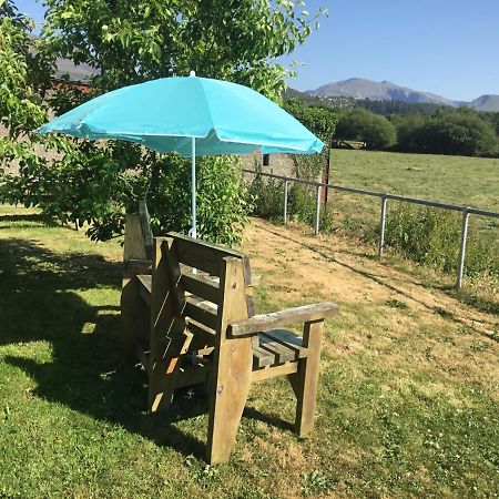 Tyddyn Perthi Farm Villa Llanberis Bagian luar foto