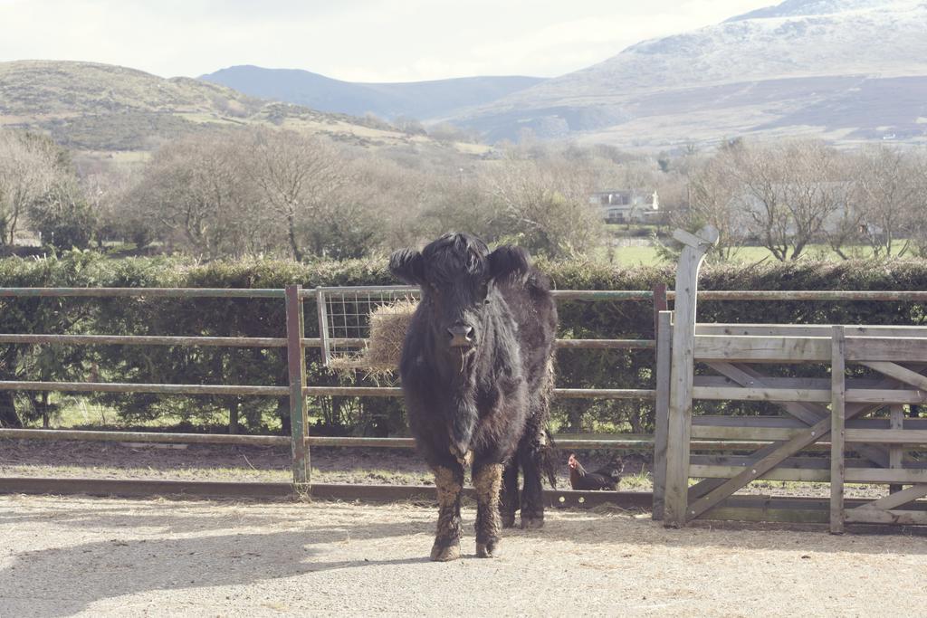 Tyddyn Perthi Farm Villa Llanberis Bagian luar foto